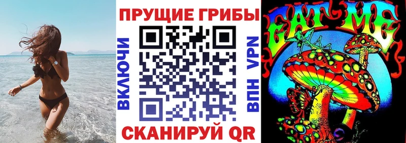 Галлюциногенные грибы Psilocybe  Кызыл 